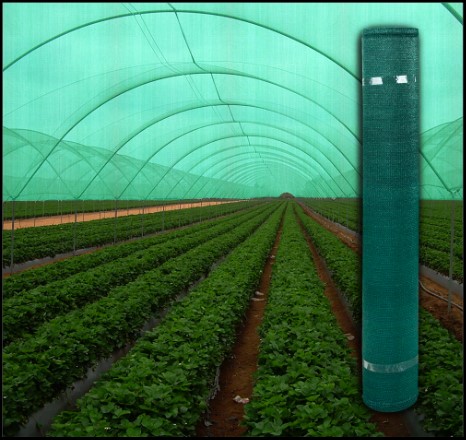 6 Plasa umbrire 35%, verde, 7 m inaltime x 50 m lungime - imagine 1