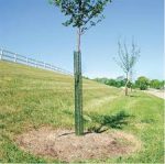 Plasa protectie pomisori Diametru 10 cm x 100 ml - imagine 4