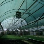 Plasa umbrire 40%, verde, 8 m inaltime x 50 m lungime