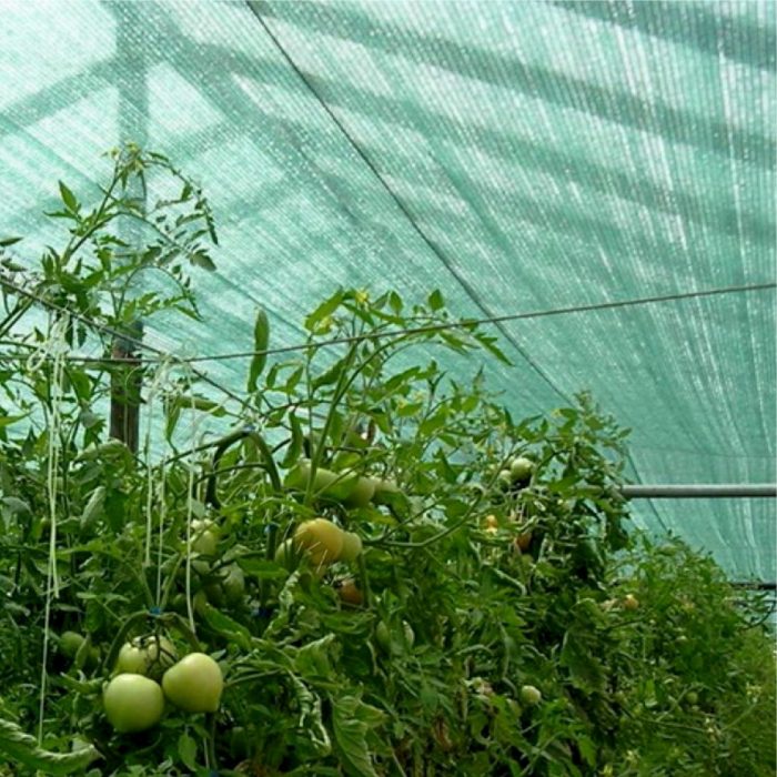 SUPER OFERTA 1+1 GRATUIT-Plasa umbrire 90%, verde, 1,7 m inaltime x 50 m lungime - imagine 4