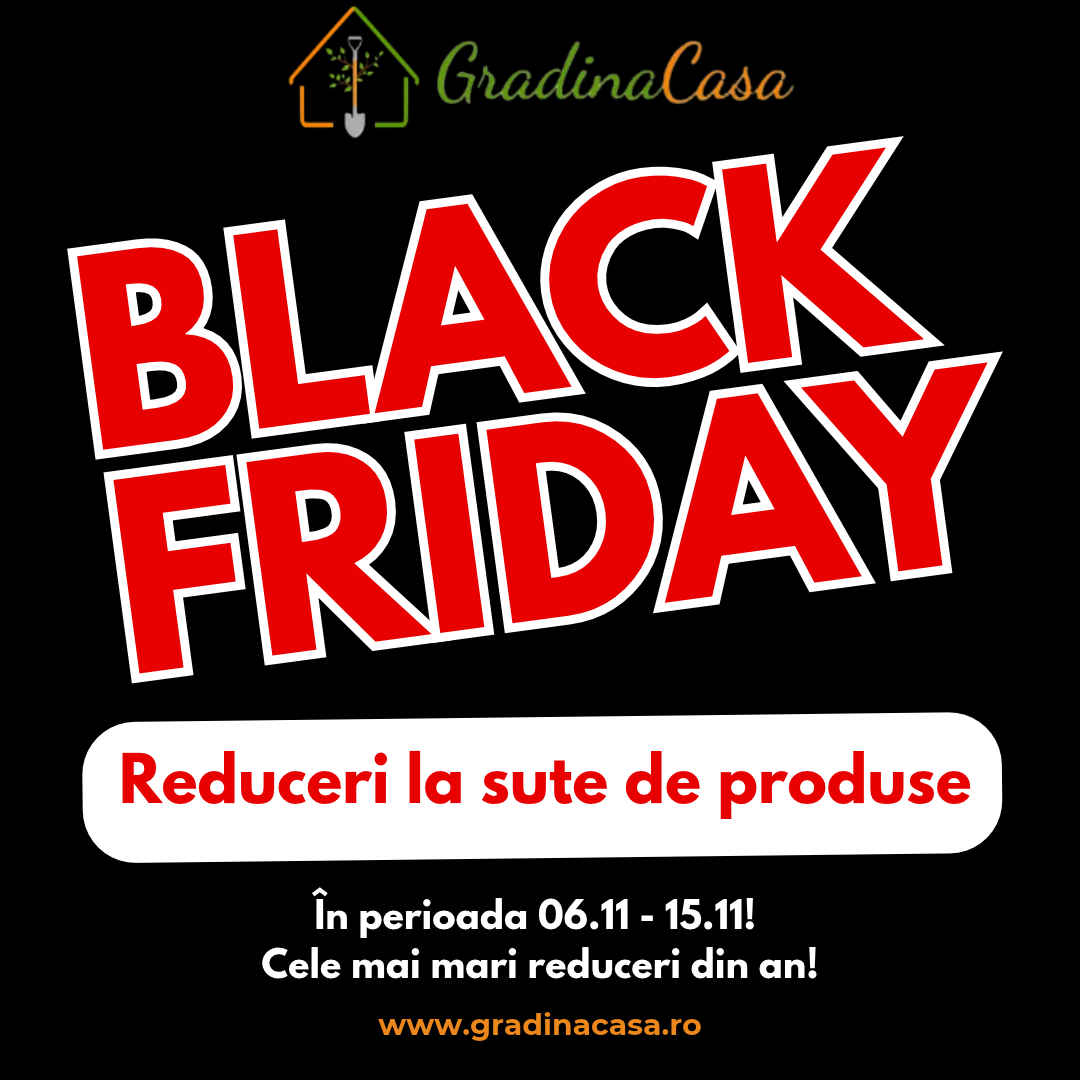 Black Friday